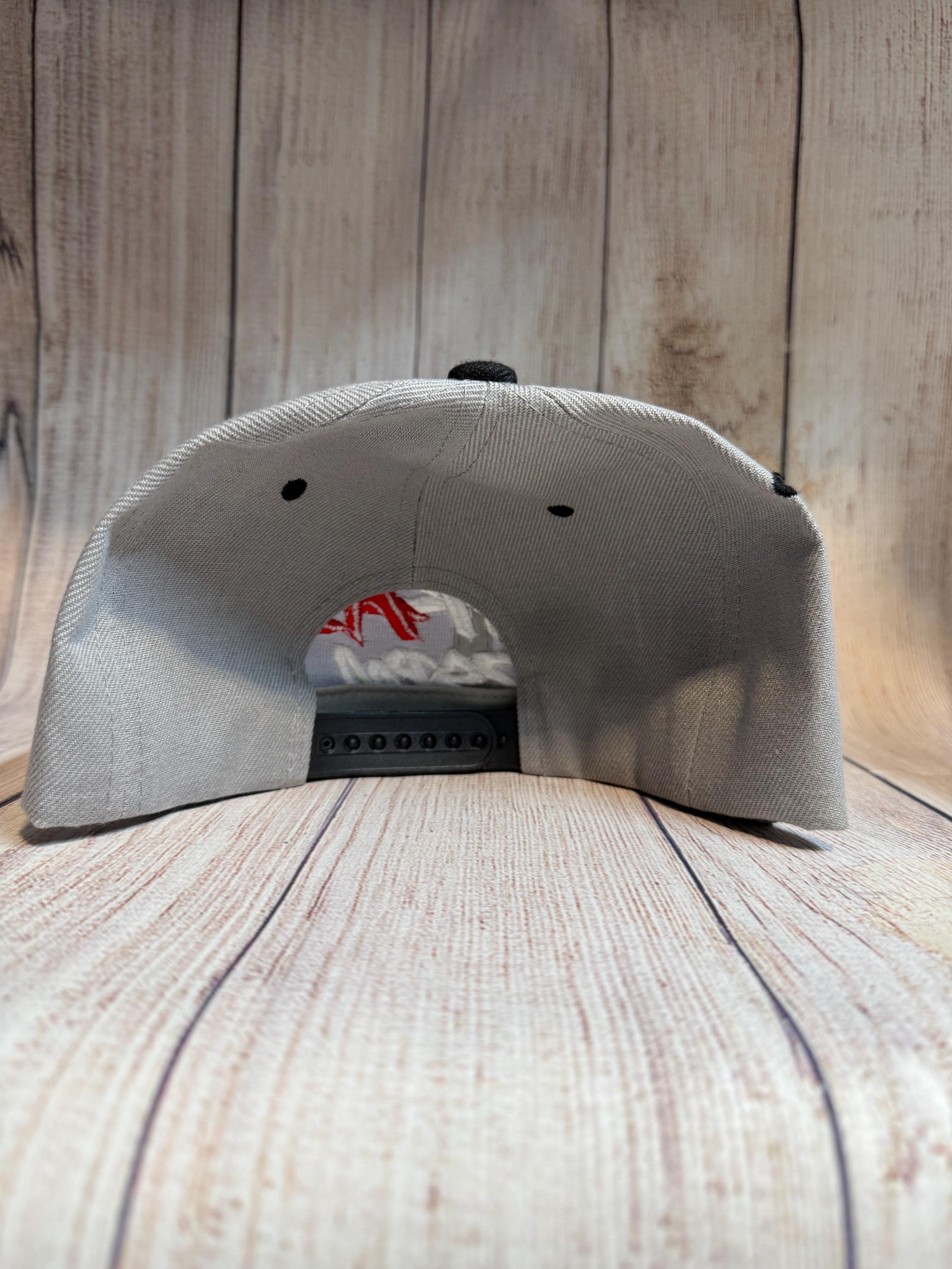 Trakas  HDSPM snapback cap , embroidery custom design