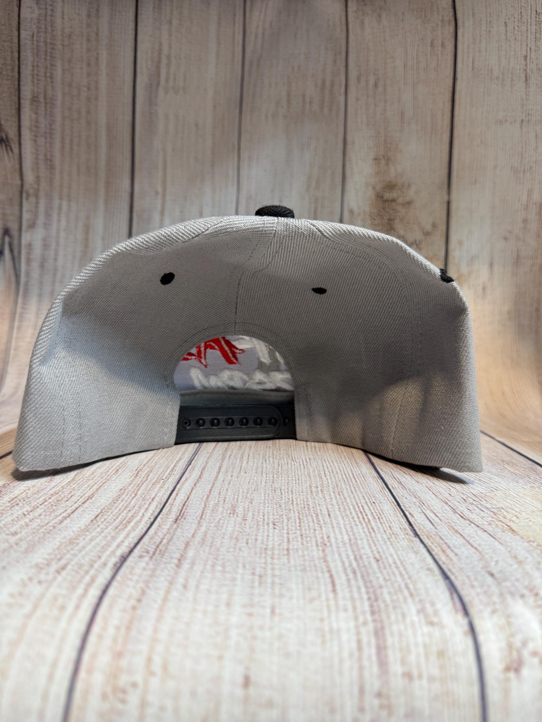 Trakas  HDSPM snapback cap , embroidery custom design